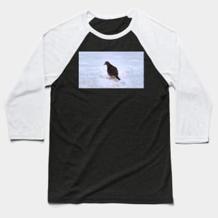 Watchful Winter Mourning Dove On The Snow Baseball T-Shirt